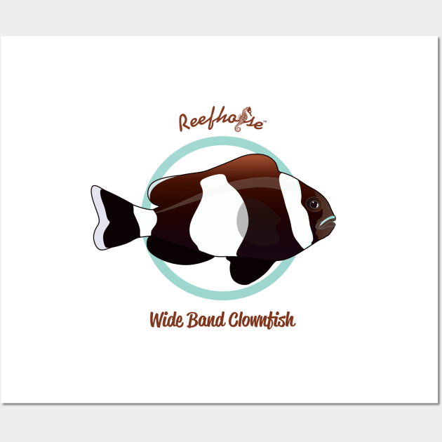 Wide Banded Clownfish Wall Art by Reefhorse